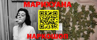 сатива Камышлов