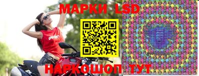 сатива Кандалакша