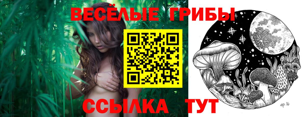 Благовещенск  наркотики  Вход с VPN  Псилоцибиновые грибы Cubensis 